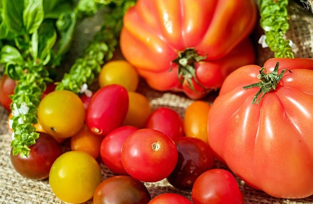 best tomatoes to grow indoors