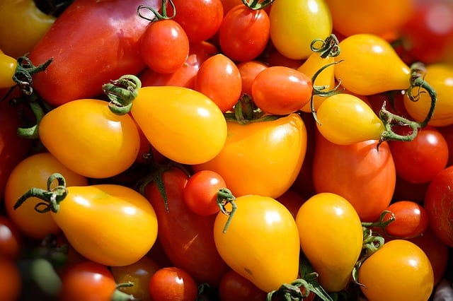 how to grow tomatoes indoors