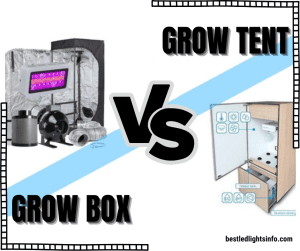 grow tent vs grow box