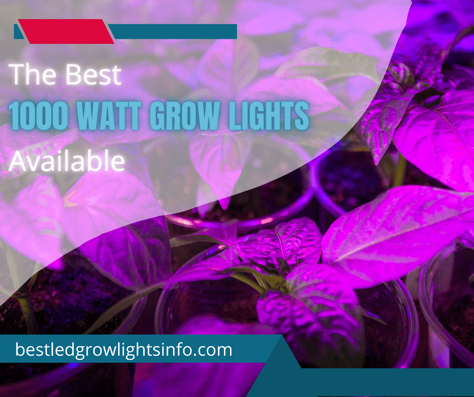 The Best 1000 Watt Grow Lights Available