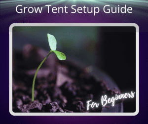grow tent setup beginners guide