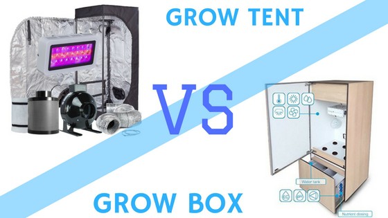 Grow Tent Vs Grow Box Which Is Best For Your Indoor Garden