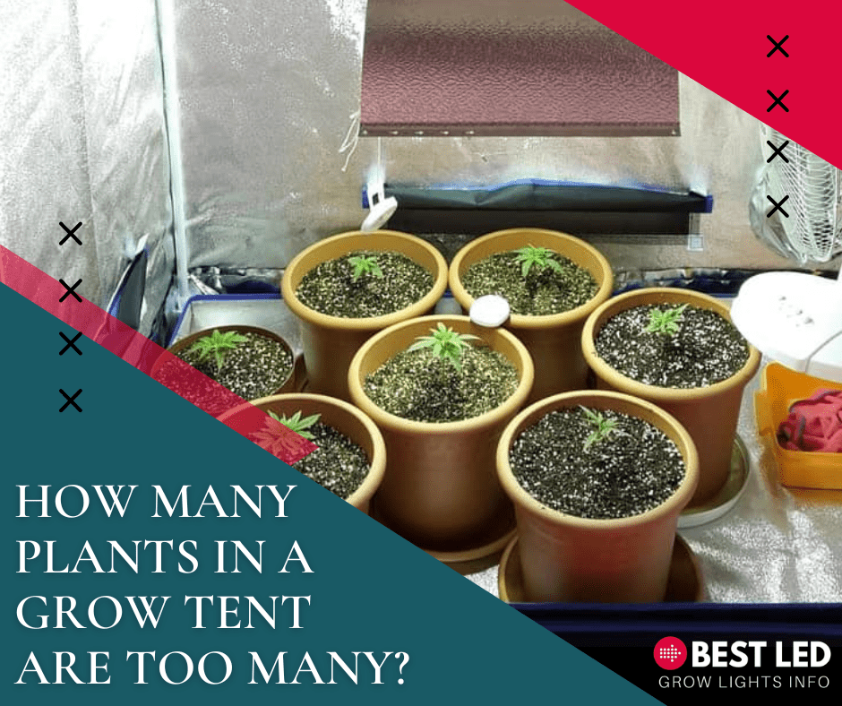 how many plants in a grow tent are too many