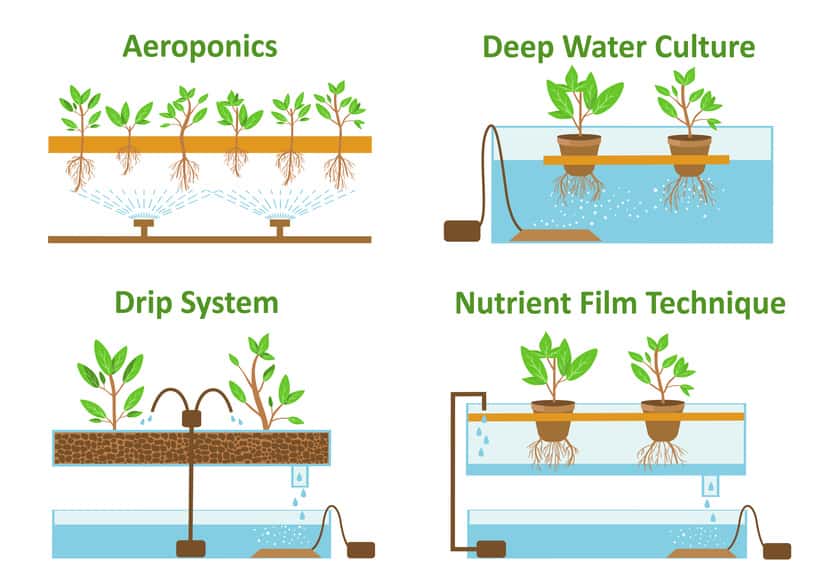 Best hydroponic system 