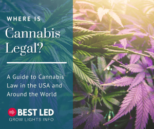 where is cannabis legal