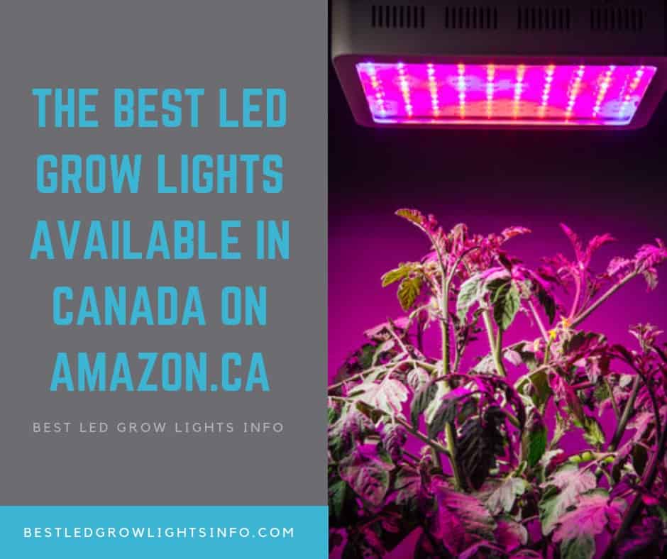 the best led grow lights available in canada amazon.ca