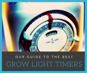 Guide to the best timer for grow lights with 6 reviews