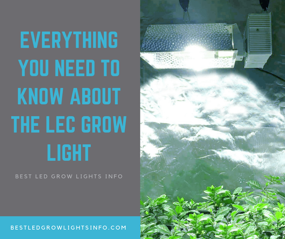 Everything you need to know about the LEC Grow Light - BestLEDGrowLightsInfo.com