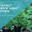 Viavolt Grow Light Review