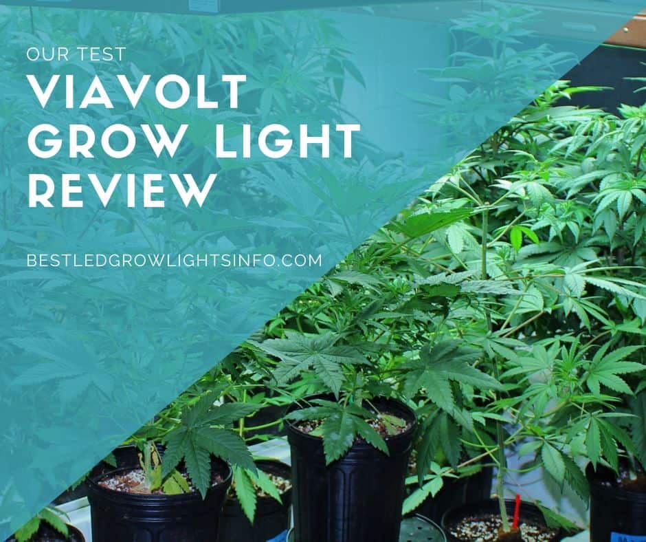 Viavolt grow light review