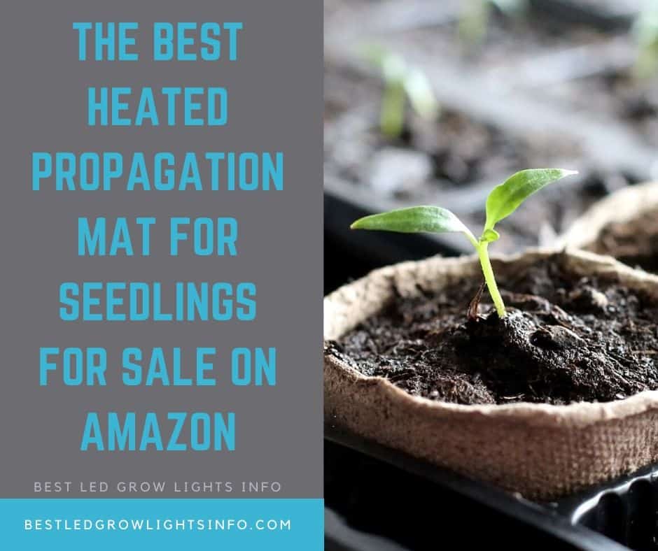 The Best Heated Propagation Mat for Seedlings for sale on Amazon