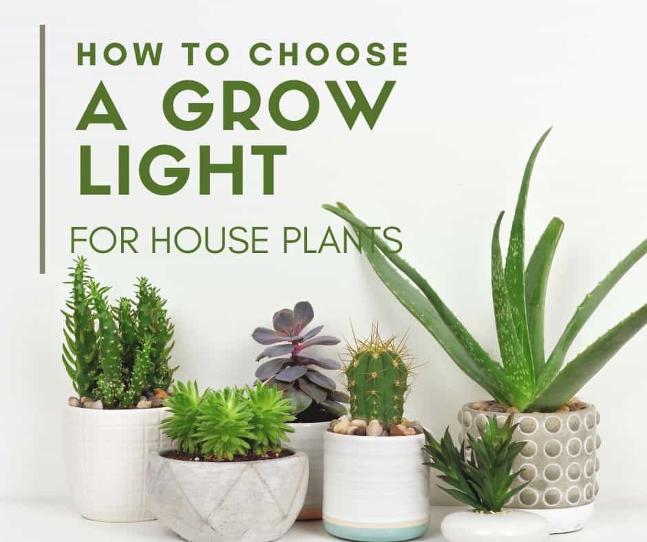 how to choose a grow light for house plants
