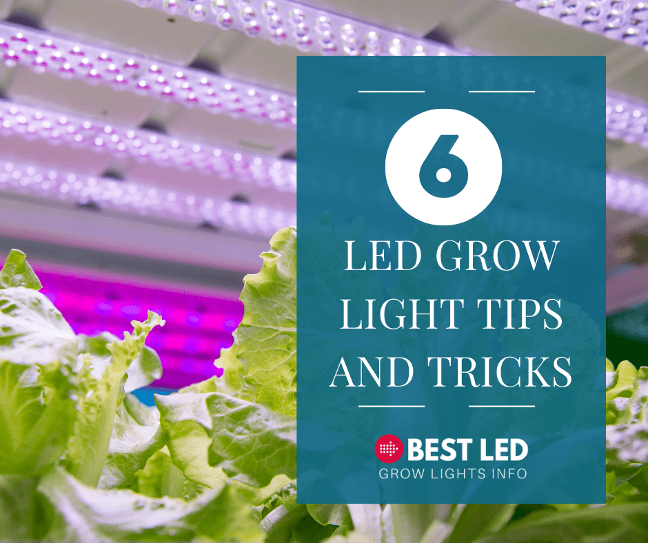 6 led grow light tips and tricks