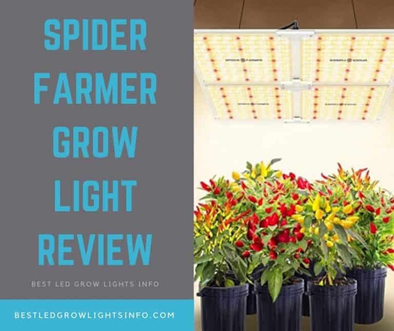 Spider Farmer SF4000 LED Grow Light Review Best LED Grow Lights Info