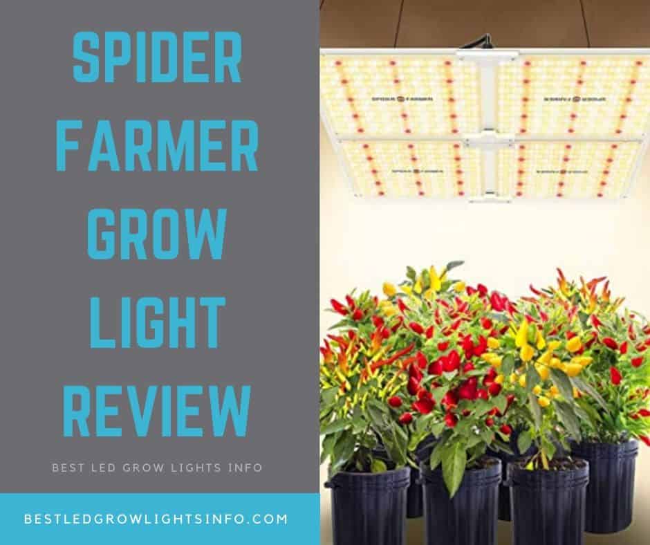 Spider Farmer SF-4000 LED Grow Light Review