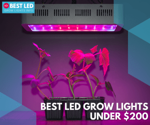 Best Led Grow Lights Under $200