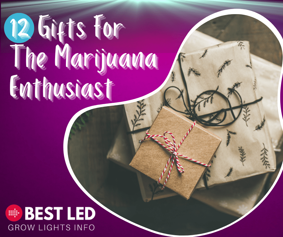 12 Gifts for the Marijuana Enthusiast (2)