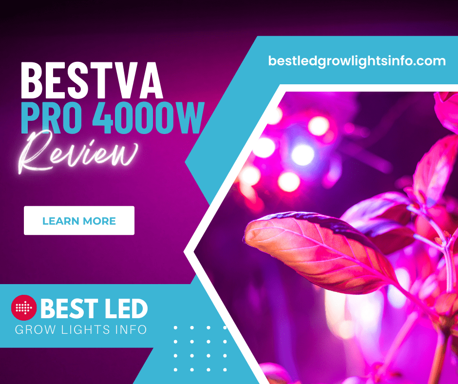 bestva pro 4000w review