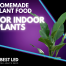 Homemade Plant Food for Indoor Plants