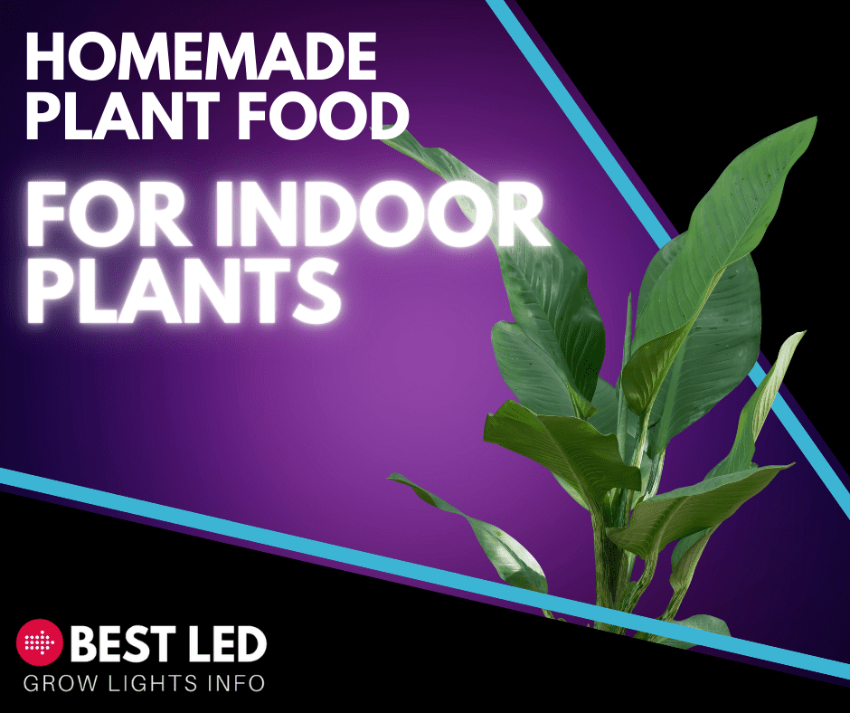 Homemade Plant Food for Indoor Plants