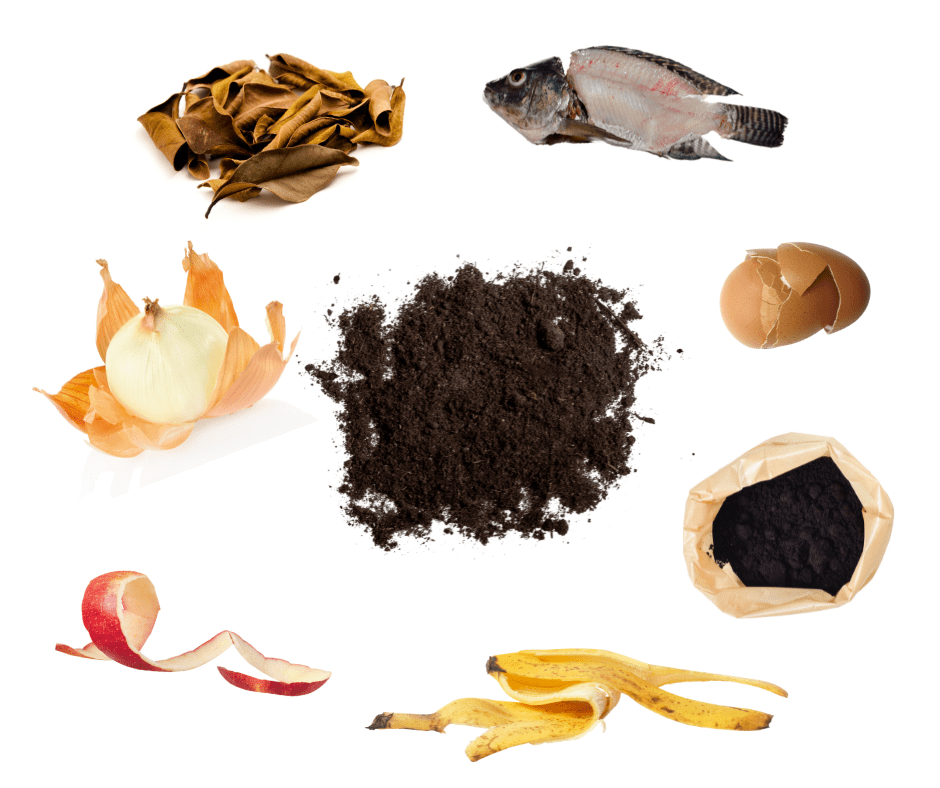 homemade fertilizer, compost pile, banana peel, coffee grounds, egg shells, leaves