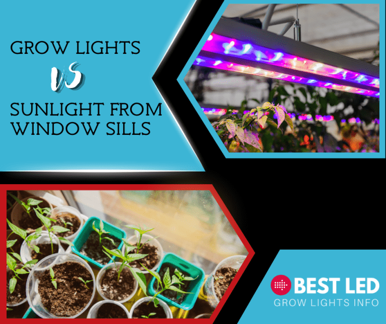 Grow Lights vs Sunlight from Window Sills - Best LED Grow Lights Info