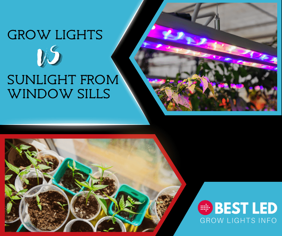 Grow Lights vs Sunlight from Window Sills Best LED Grow Lights Info