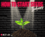 How to Start Seeds Indoors