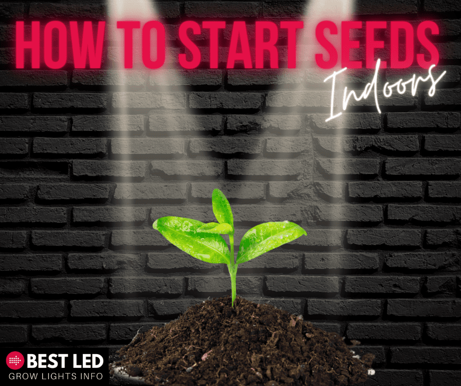 how to start seeds indoors title