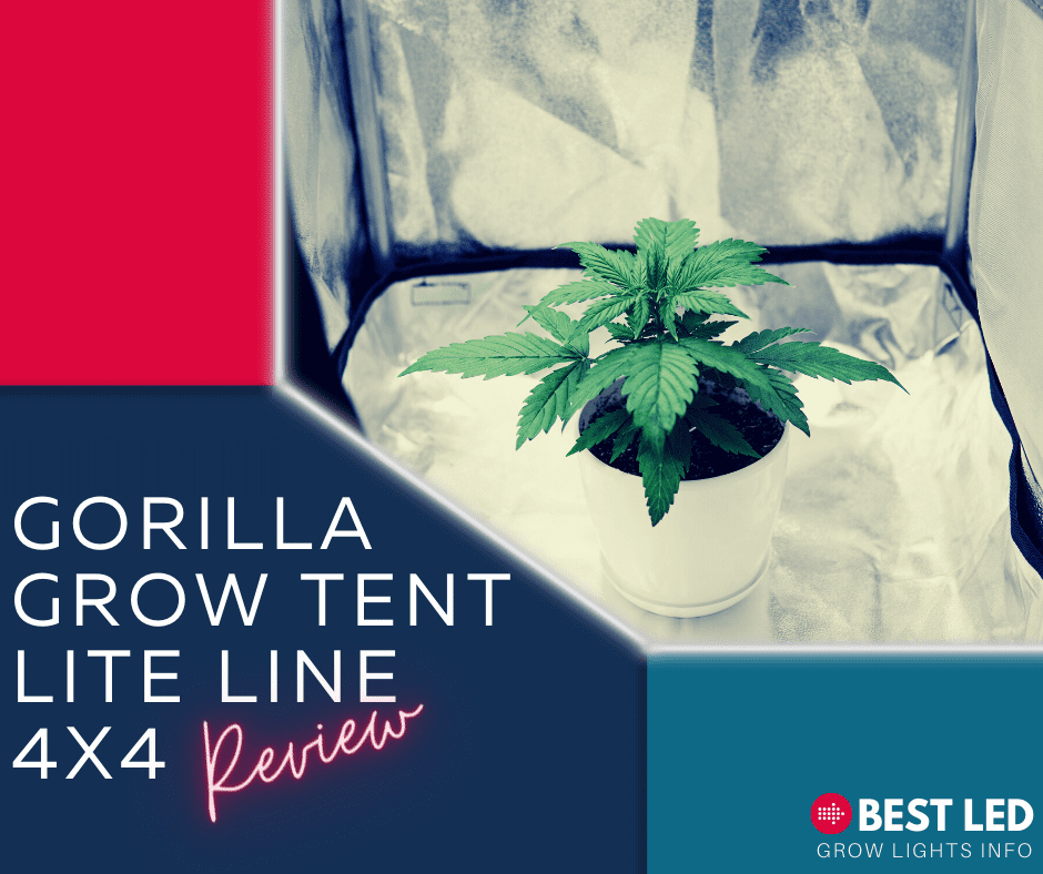 Gorilla Grow Tent Lite Line 4x4 Review