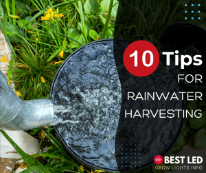 10 Tip For Rainwater Harvesting