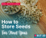 How To Store Seeds For Next Year