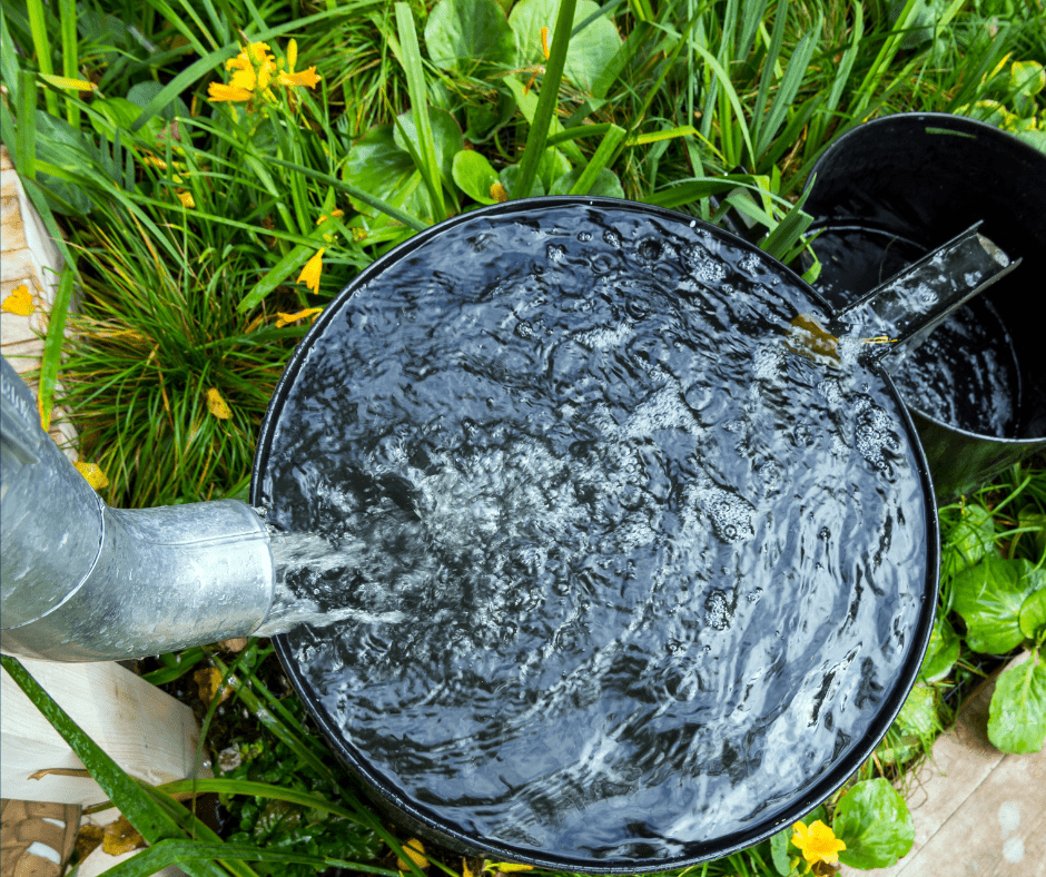 rainwater barrel