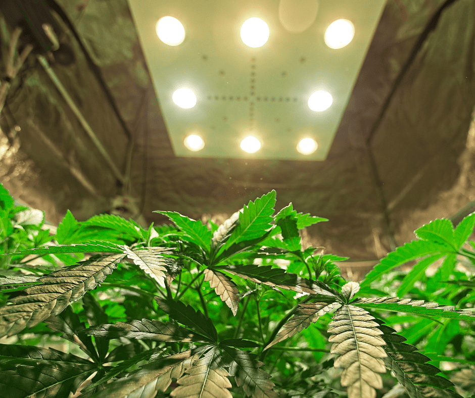 smell proof your grow tent