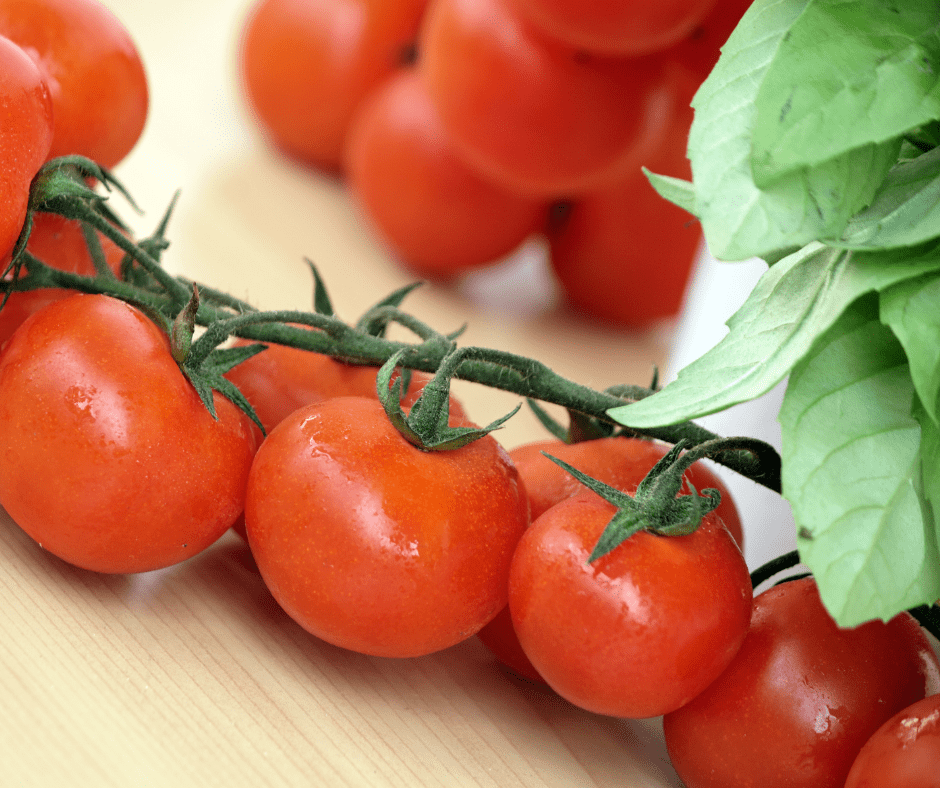 tomatoes, basil, are great for companion planting