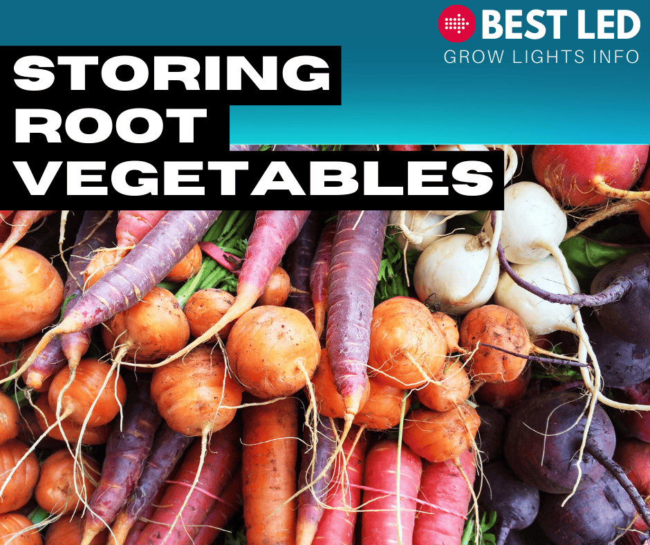 storing root vegetables