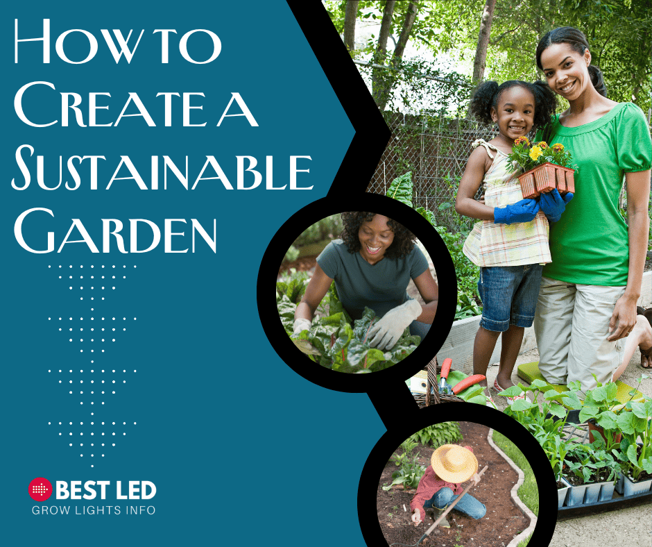 How to Create a Sustainable Garden