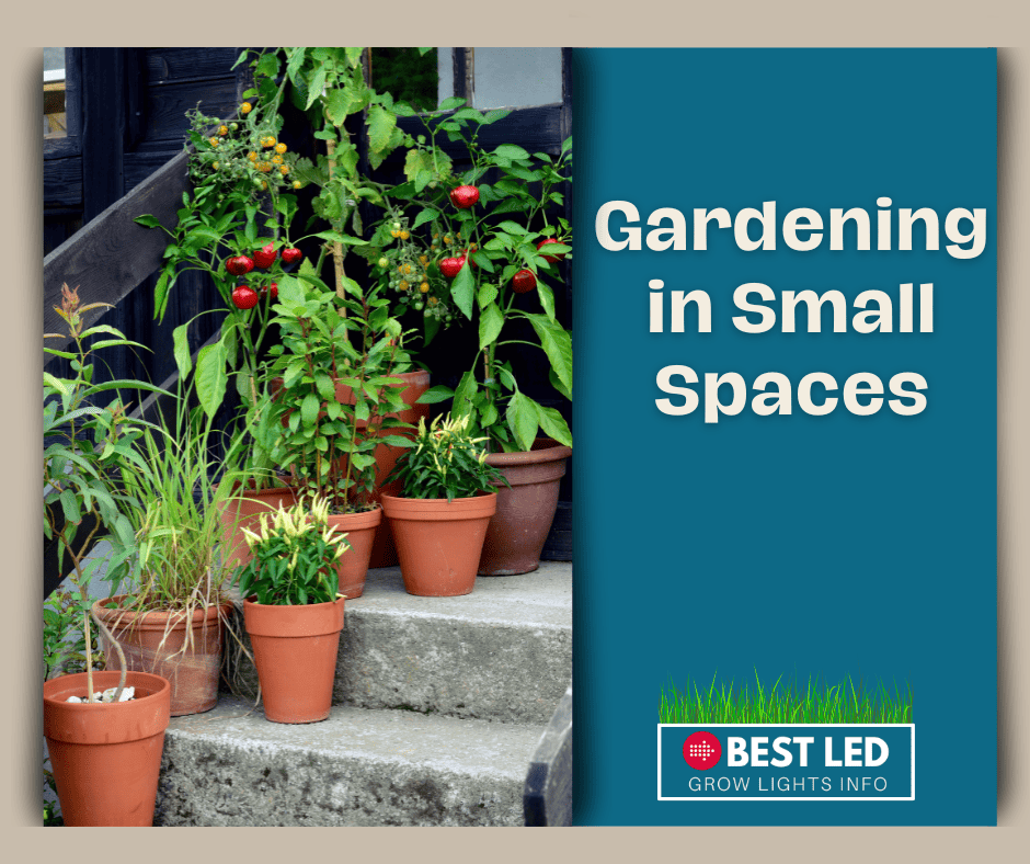 gardening in small spaces