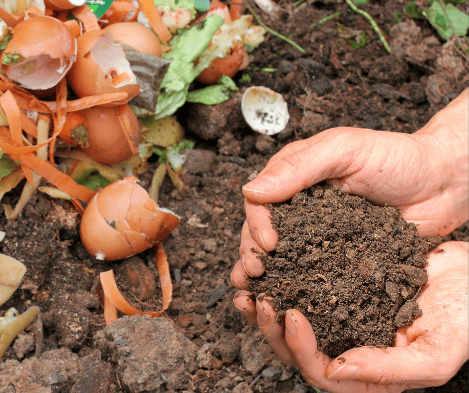 start composting