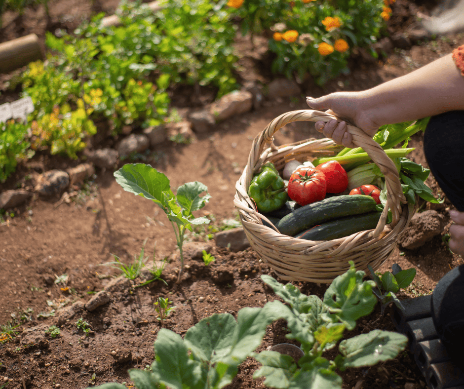 sustainable gardening