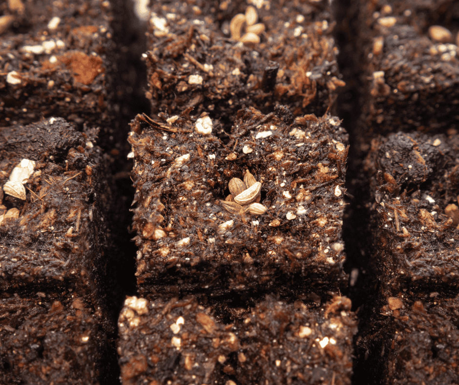 making your own soil blocks