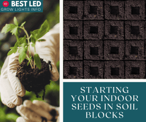 Starting Your Indoor Seeds in Soil Blocks