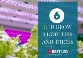 6 LED Grow Light Tips and Tricks