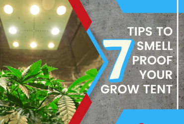 7 Tips to Smell-Proof Your Grow Tent