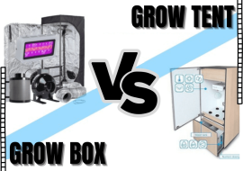 Grow Tent vs Grow Box – Which is Best for your Indoor Garden?