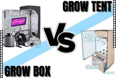 Grow Tent vs Grow Box – Which is Best for your Indoor Garden?