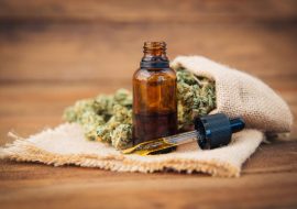 10 Best Cannabis Oils for Sleep, Pain, Skin, and More