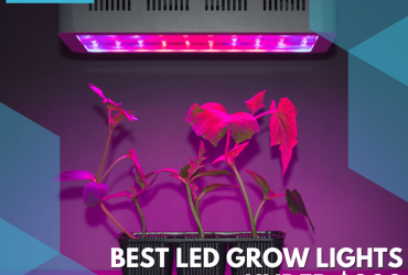Best Led Grow Lights Under $200