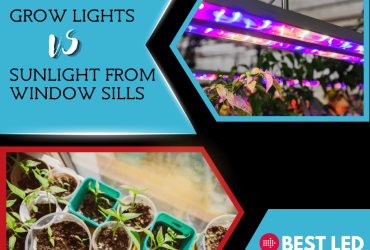 Grow Lights vs Sunlight from Window Sills