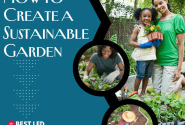 How to Create a Sustainable Garden